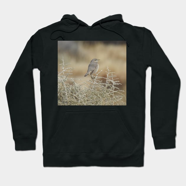 wild, birds, sage thrasher, wildlife, gifts Hoodie by sandyo2ly